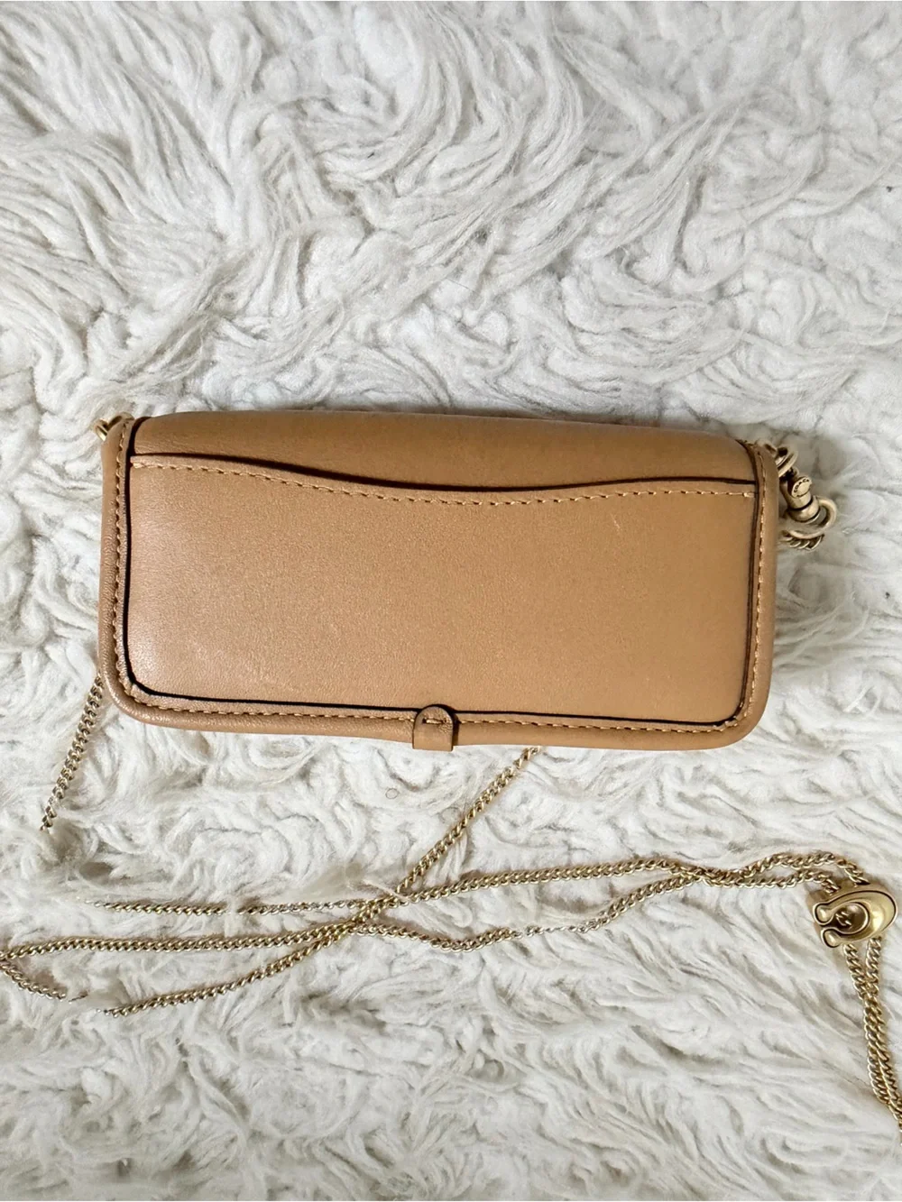 Coach Micro Dinky Bag